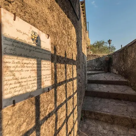 Gelmi Front